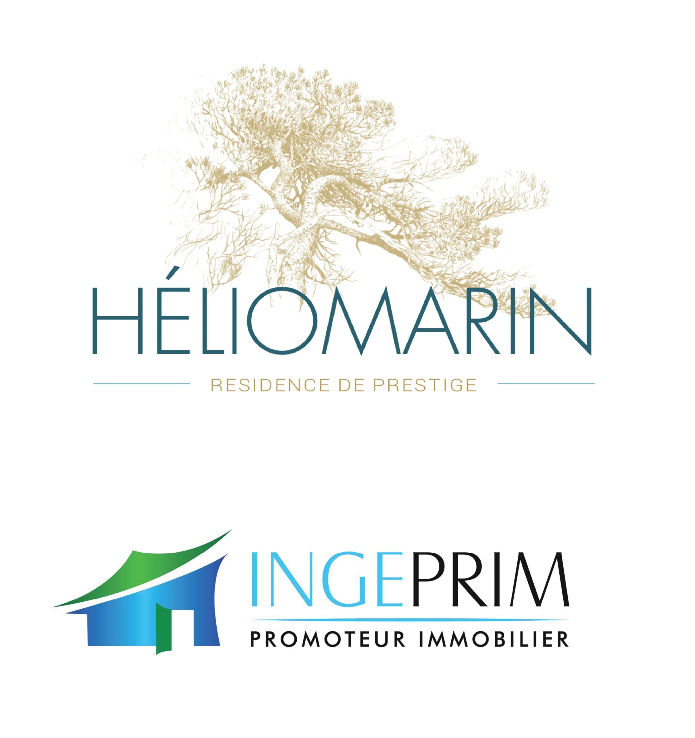 Pack Immobilier Grenouille studio